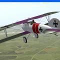 More information about "Robert Ritter von Greim Albatros D5"