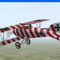 More information about "Josef Loeser Albatros D3"