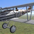 More information about "Fritz Hohn's Pfalz D3A"