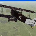 More information about "Carl Degelow Fokker D7"