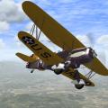 More information about "Curtiss P-6E Hawk"